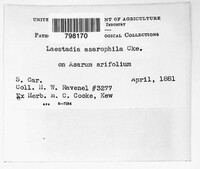 Image Associated With the Occurence